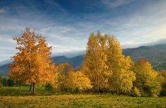 Herbst im Isergebirge