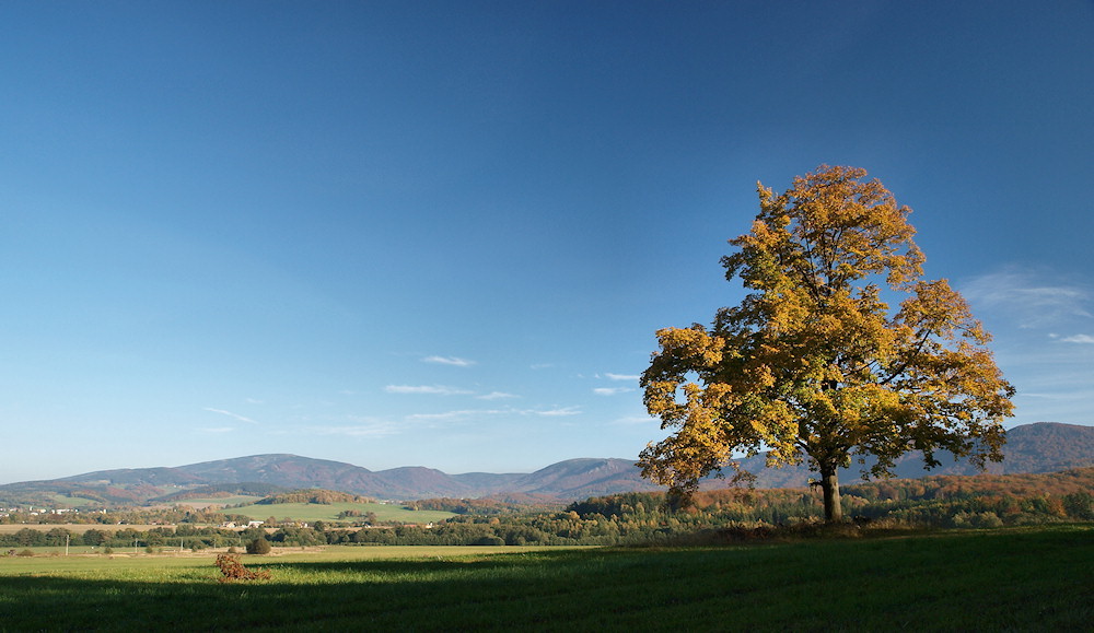 Herbst im Isergebirge