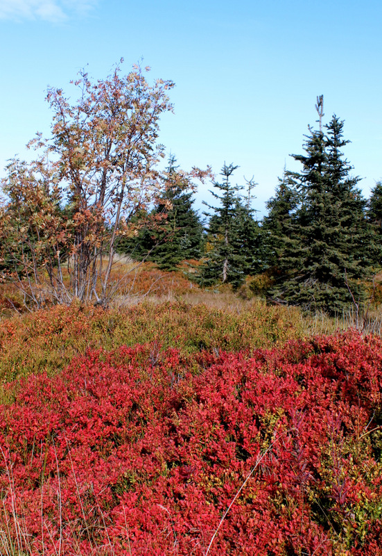 Herbst im Isergebirge