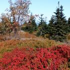 Herbst im Isergebirge