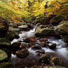 Herbst im Isetal II