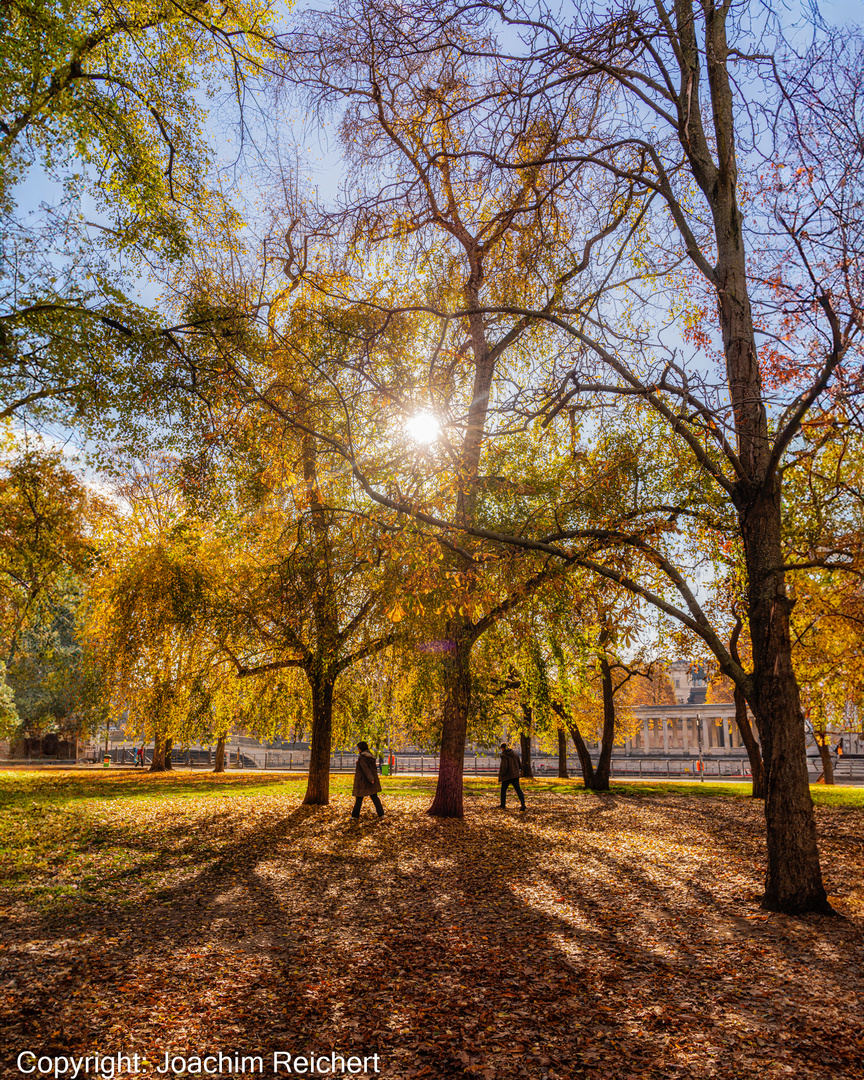 Herbst im James Simon Park von Berlin