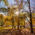 Herbst im James Simon Park von Berlin