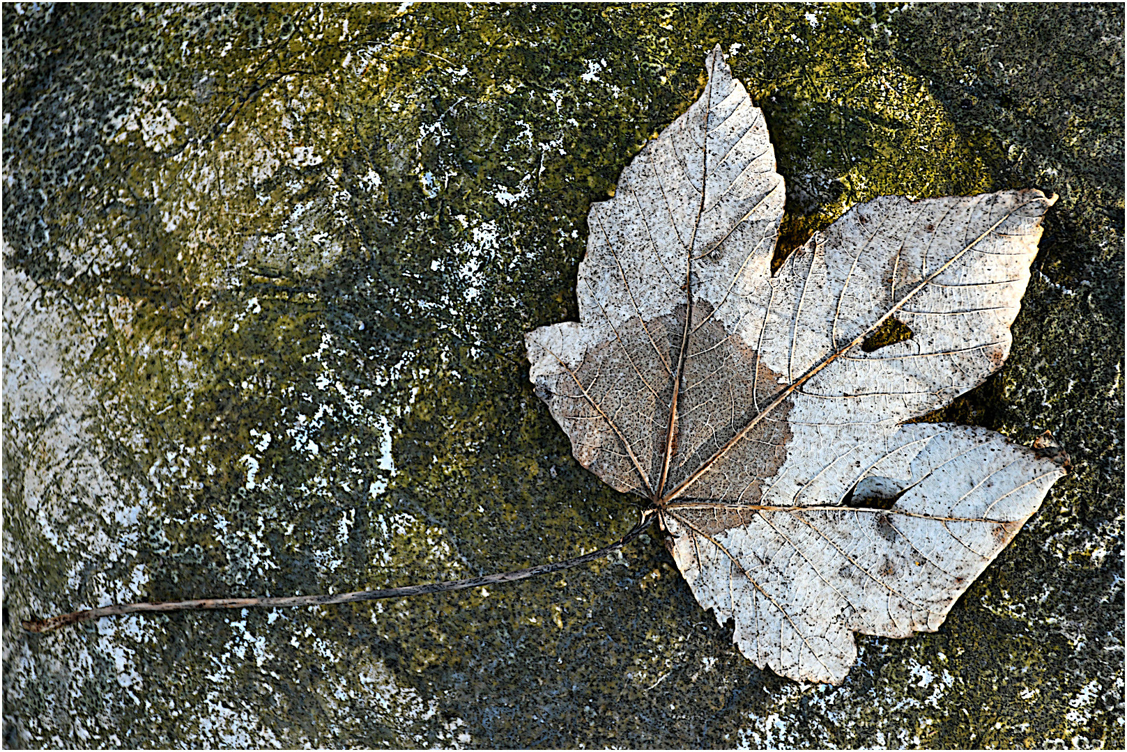 Herbst im Januar 