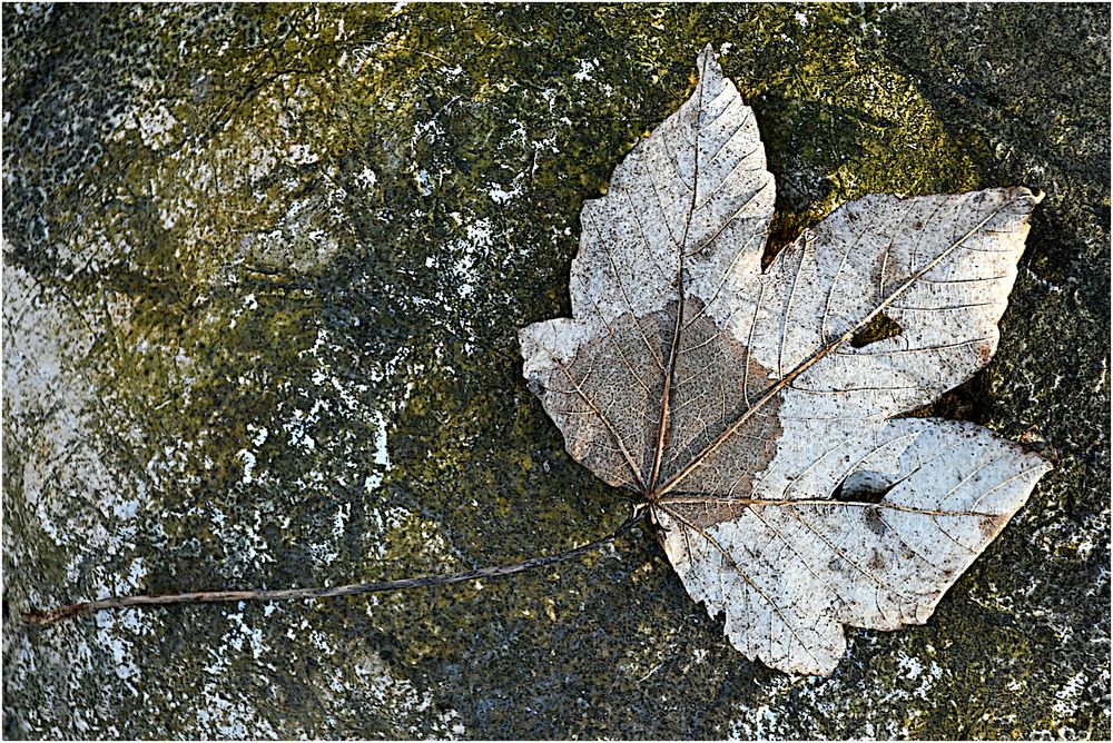 Herbst im Januar 