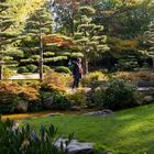 Herbst im jap. Garten