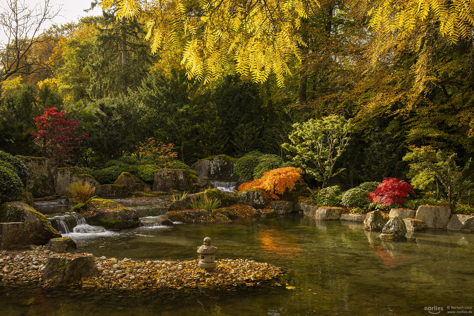 Herbst im Japangarten