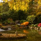 Herbst im Japangarten