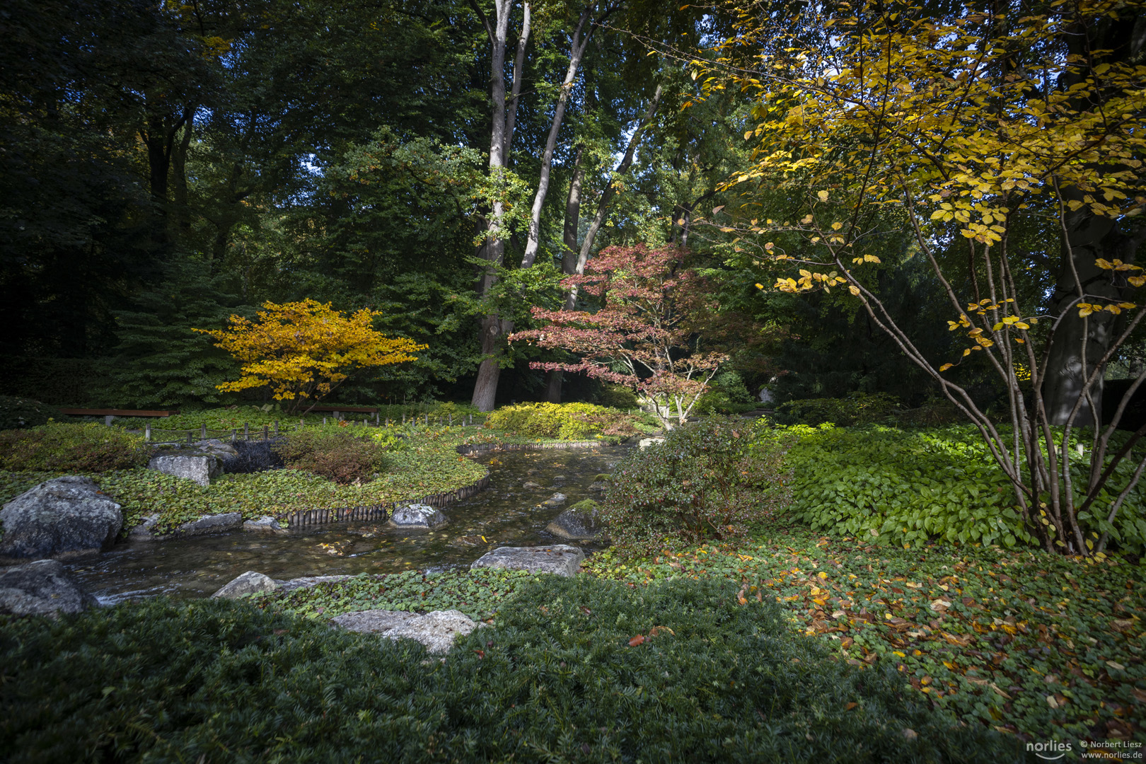 Herbst im Japangarten