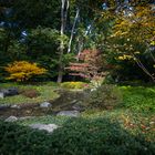 Herbst im Japangarten