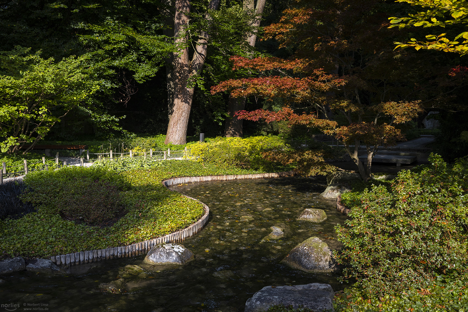 Herbst im Japangarten