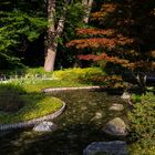 Herbst im Japangarten