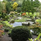 Herbst im Japangarten des Westfalenparks