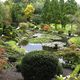 Herbst im Japangarten des Westfalenparks