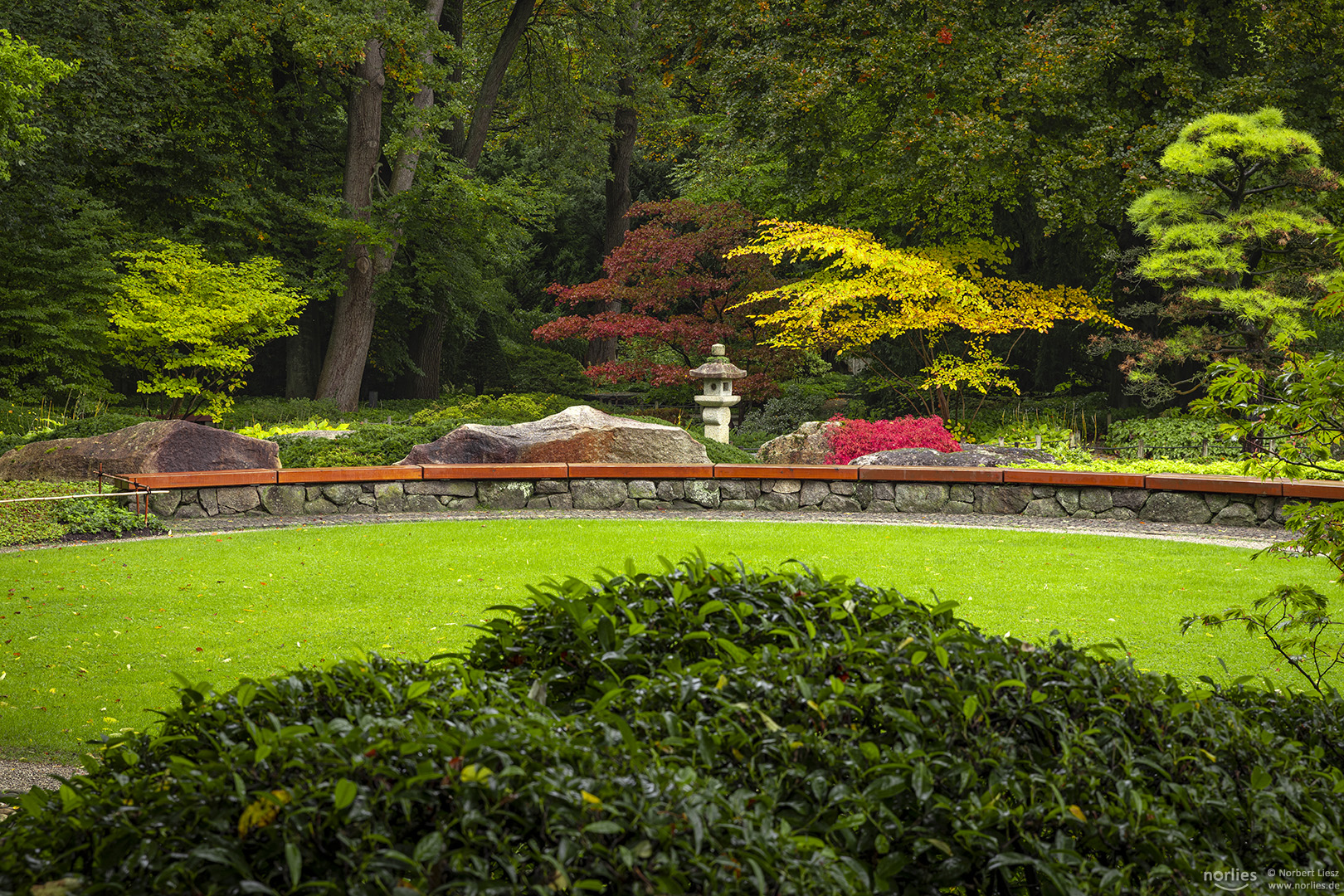 Herbst im Japangarten