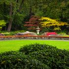 Herbst im Japangarten