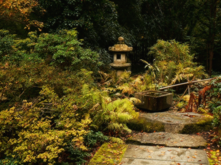 Herbst im japanischen Garten (1)