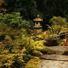 Herbst im japanischen Garten (1)