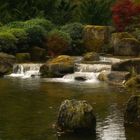 Herbst im japanischen Garten (10)