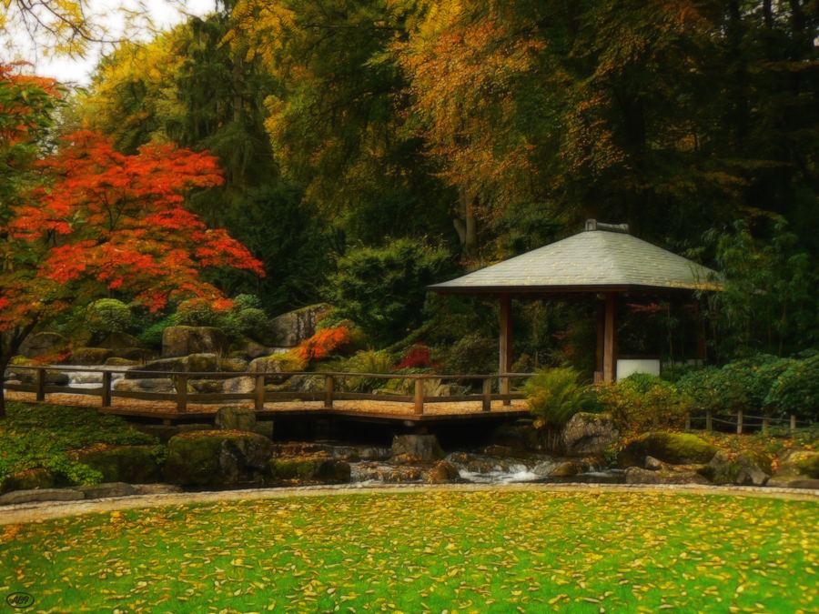 Herbst im japanischen Garten (11)