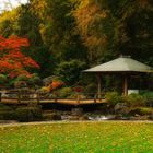 Herbst im japanischen Garten (11)