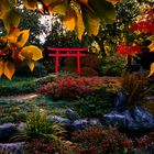 Herbst im Japanischen Garten