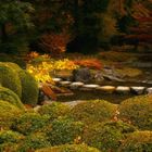 Herbst im japanischen Garten (13)