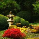 Herbst im japanischen Garten (14)
