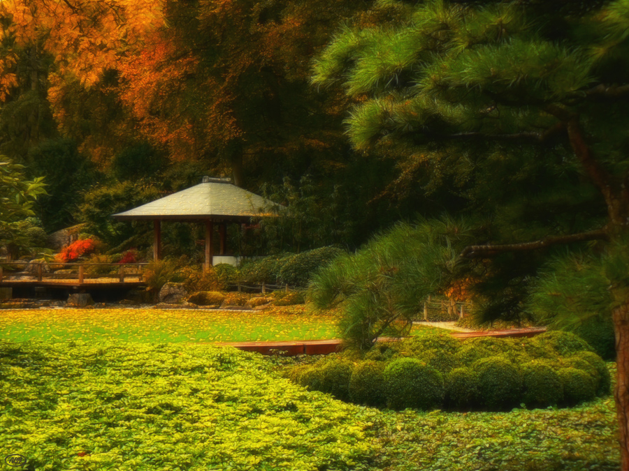 Herbst im japanischen Garten (15)