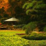 Herbst im japanischen Garten (15)