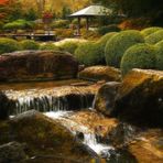 Herbst im japanischen Garten (16)