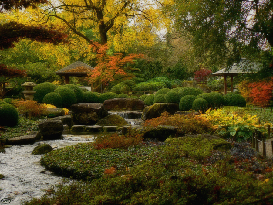 Herbst im japanischen Garten (2)