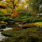 Herbst im japanischen Garten (2)