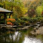 Herbst im japanischen Garten (6)