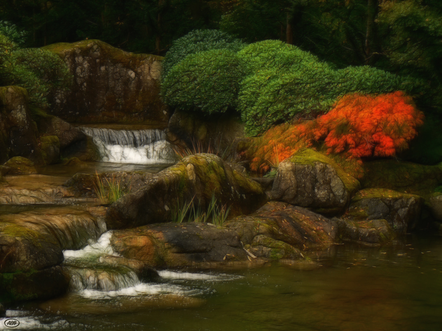 Herbst im japanischen Garten (7)