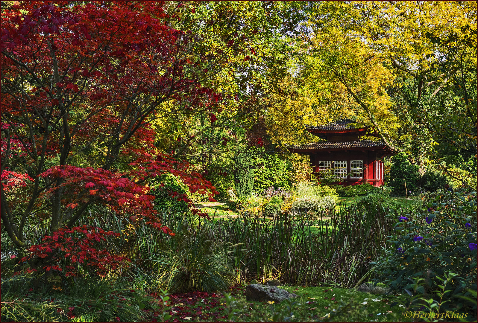 Herbst im Japanischen Garten Foto & Bild natur, herbst