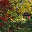 Herbst im Japanischen Garten