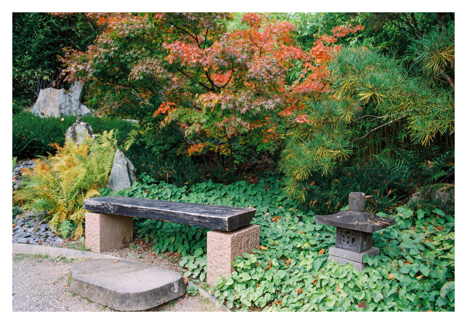 Herbst im Japanischen Garten