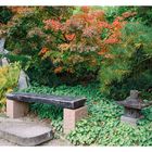 Herbst im Japanischen Garten