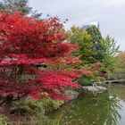 Herbst im japanischen Garten