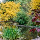 Herbst im Japanischen Garten