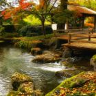 Herbst im japanischen Garten (9)