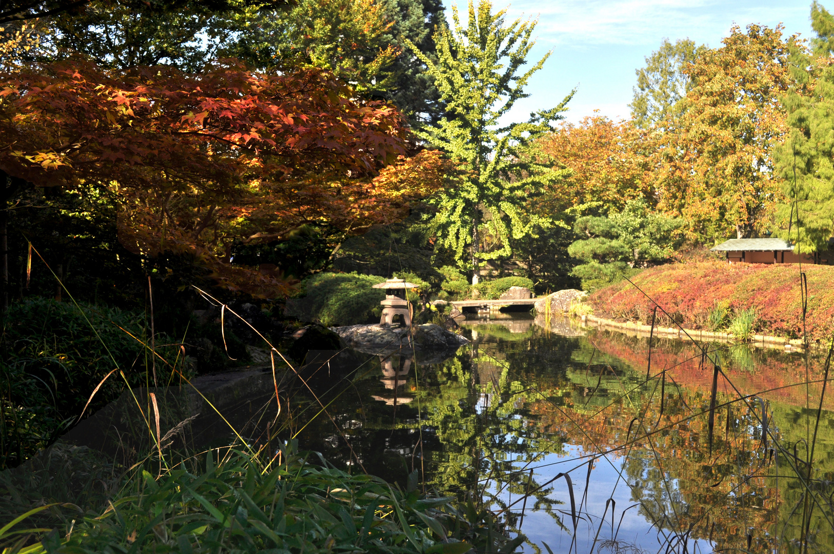 Herbst im Japanischen Garten Bonn- Rheinnaue