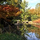 Herbst im Japanischen Garten Bonn- Rheinnaue