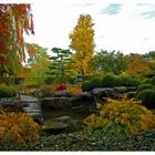 Herbst im "Japanischen Garten"