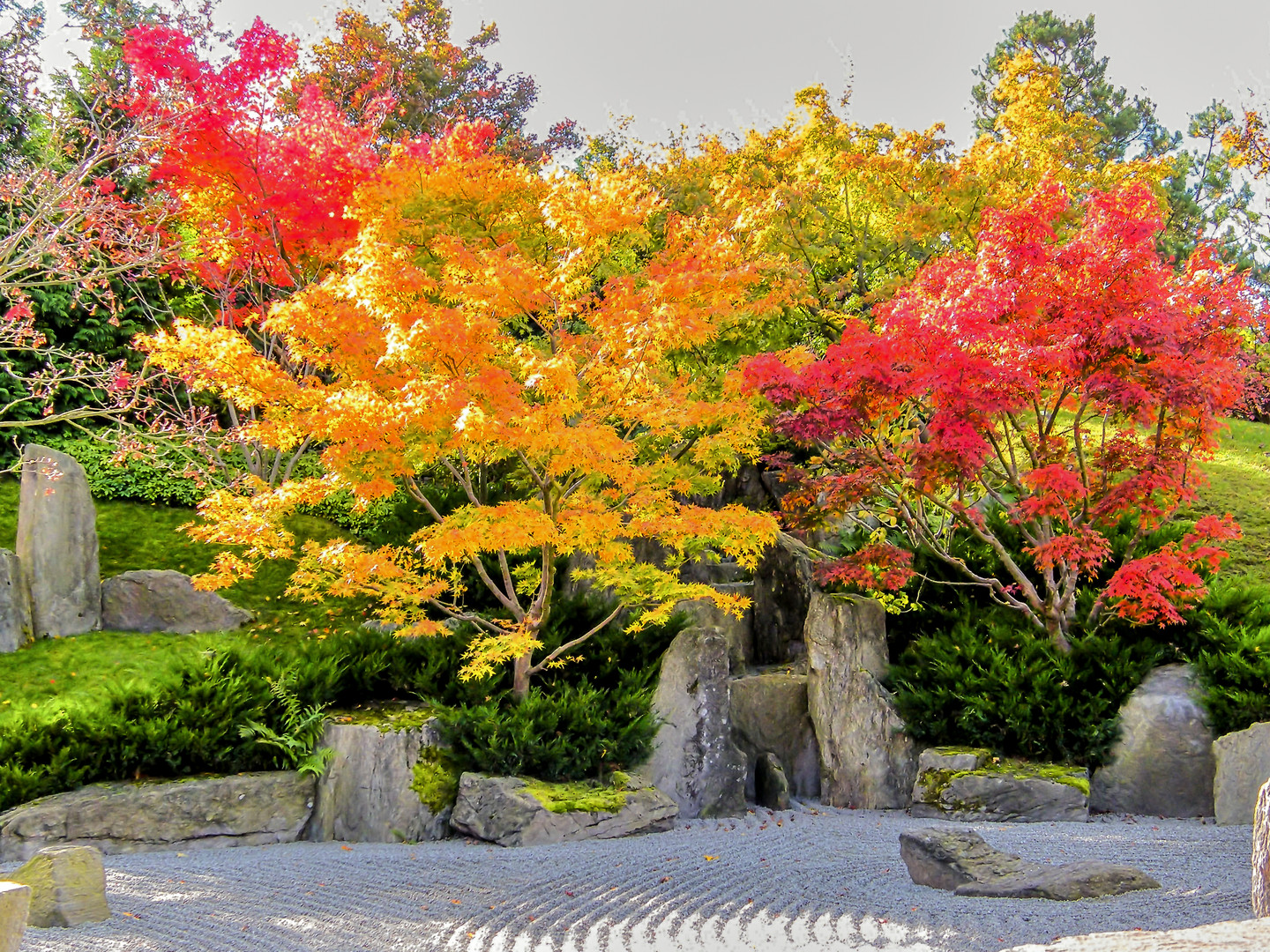 Herbst im Japanischen Garten