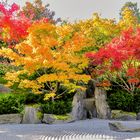 Herbst im Japanischen Garten