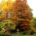 Herbst im Japanischen Garten III