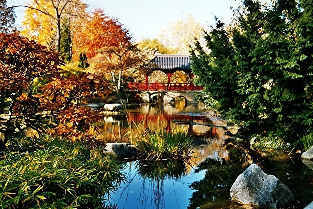 Herbst im Japanischen Garten Köln/Leverkusen Foto & Bild