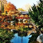 Herbst im Japanischen Garten Köln/Leverkusen